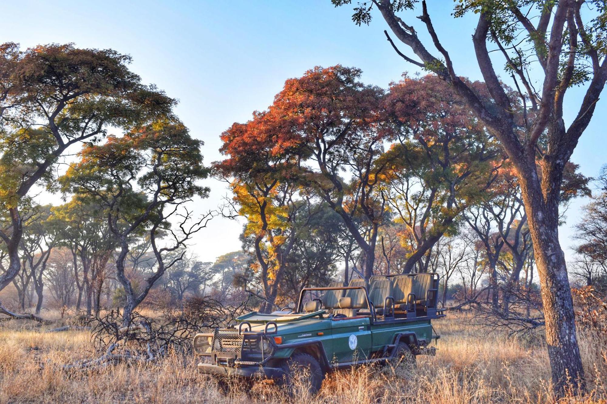 Mziki Safari Lodge Vaaldam Eksteriør billede